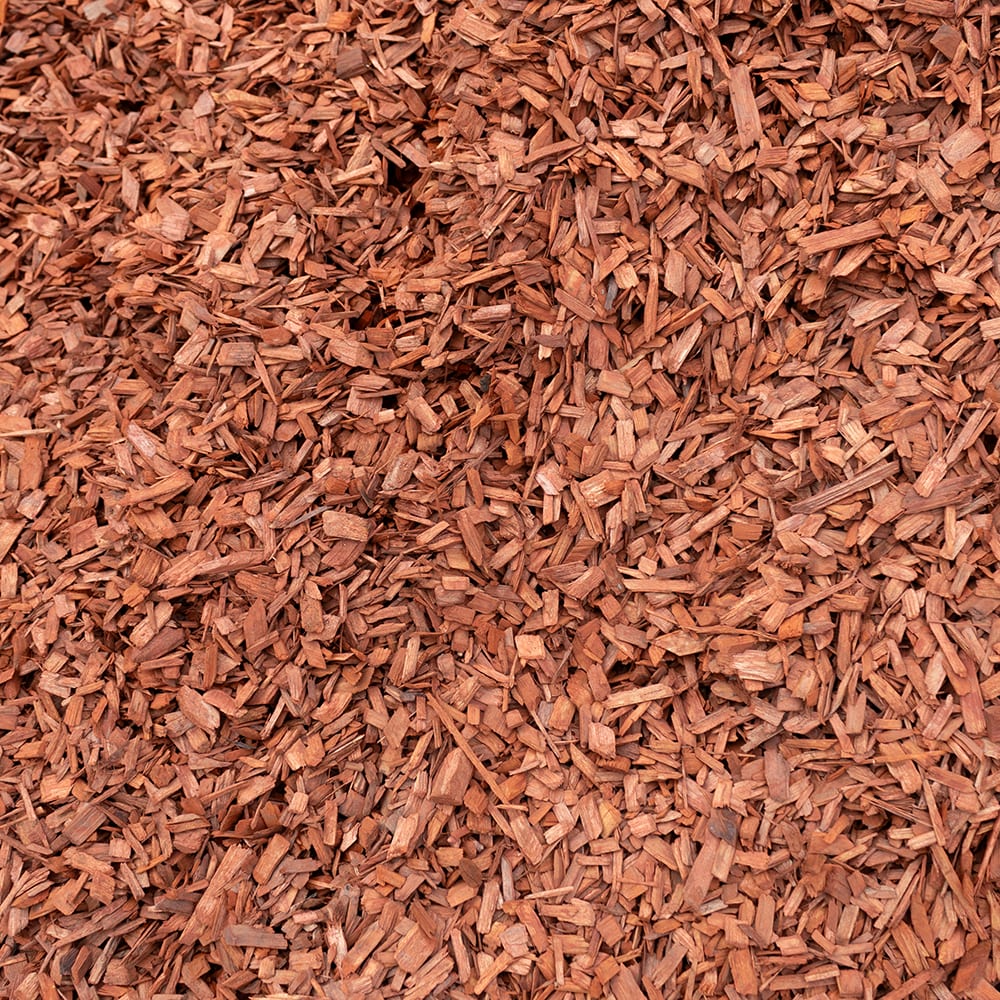 AMERICAN RED BARK