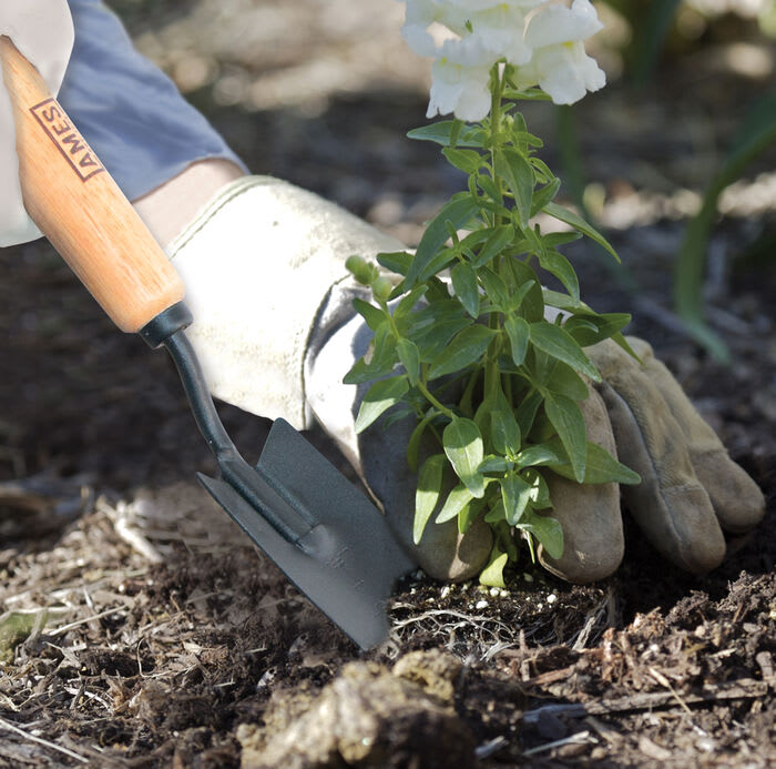 AMES TRANSPLANT TROWEL TEMPERED