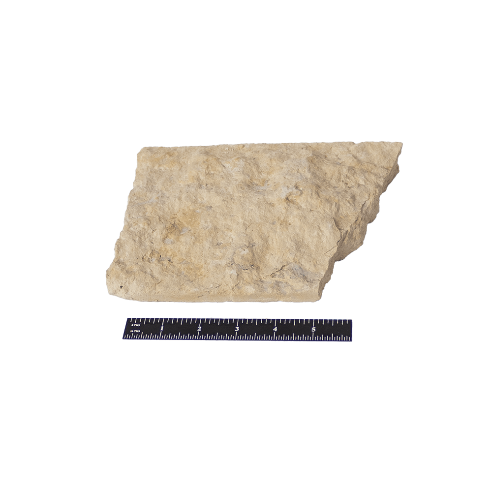 WHITE LIMESTONE - THIN VENEER - FLATS - 4", 6", 8" HEIGHTS -