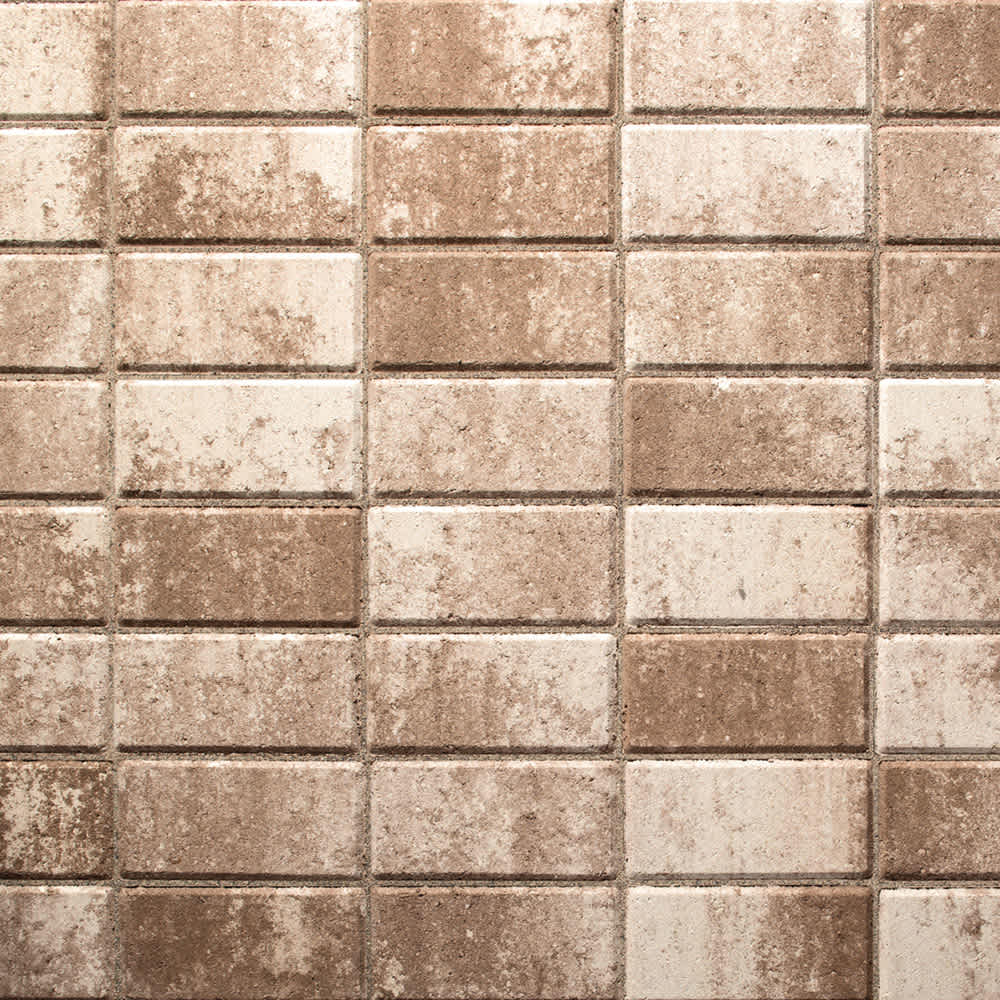 Belgard Holland Stone Paver, 60mm, 4" x 8" x 2-3/8", Amaretto