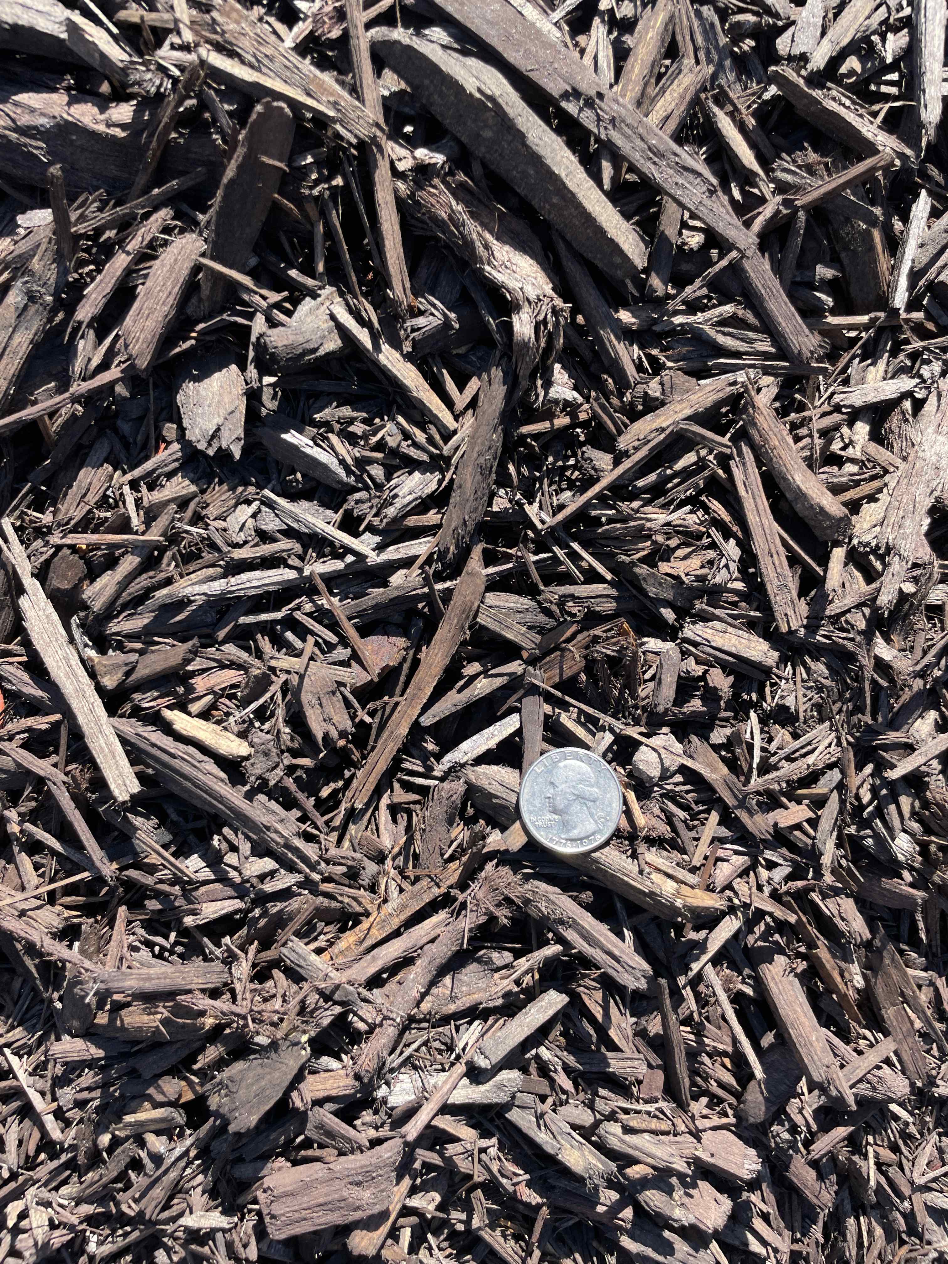 Coffee Mulch Bulk | 2ND CHANCE COFFEE BROWN