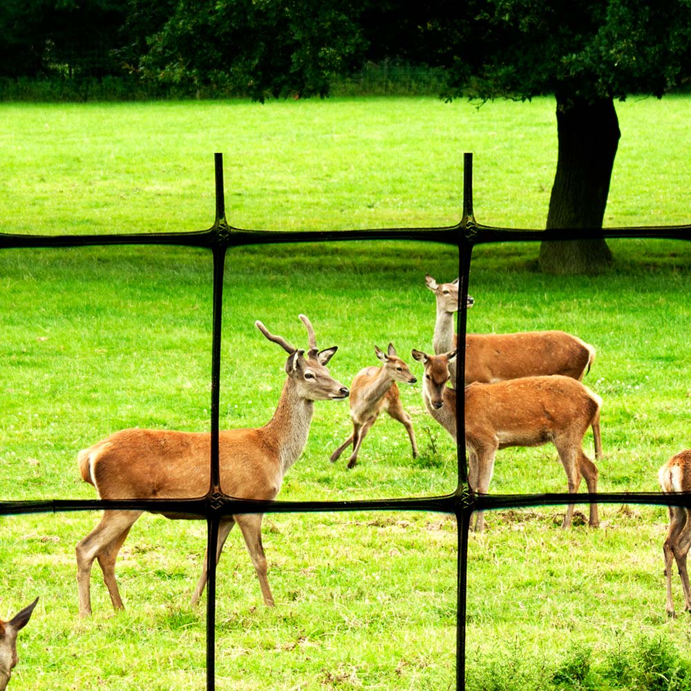 DEER FENCE, 7.5' X 100', C-Flex Plastic Mesh | CN100