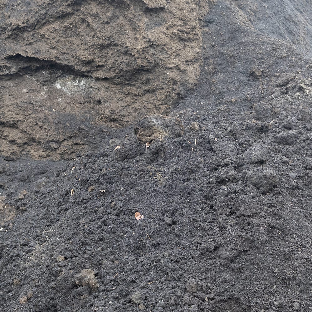 Mushroom Soil | MUSHROOMSOIL