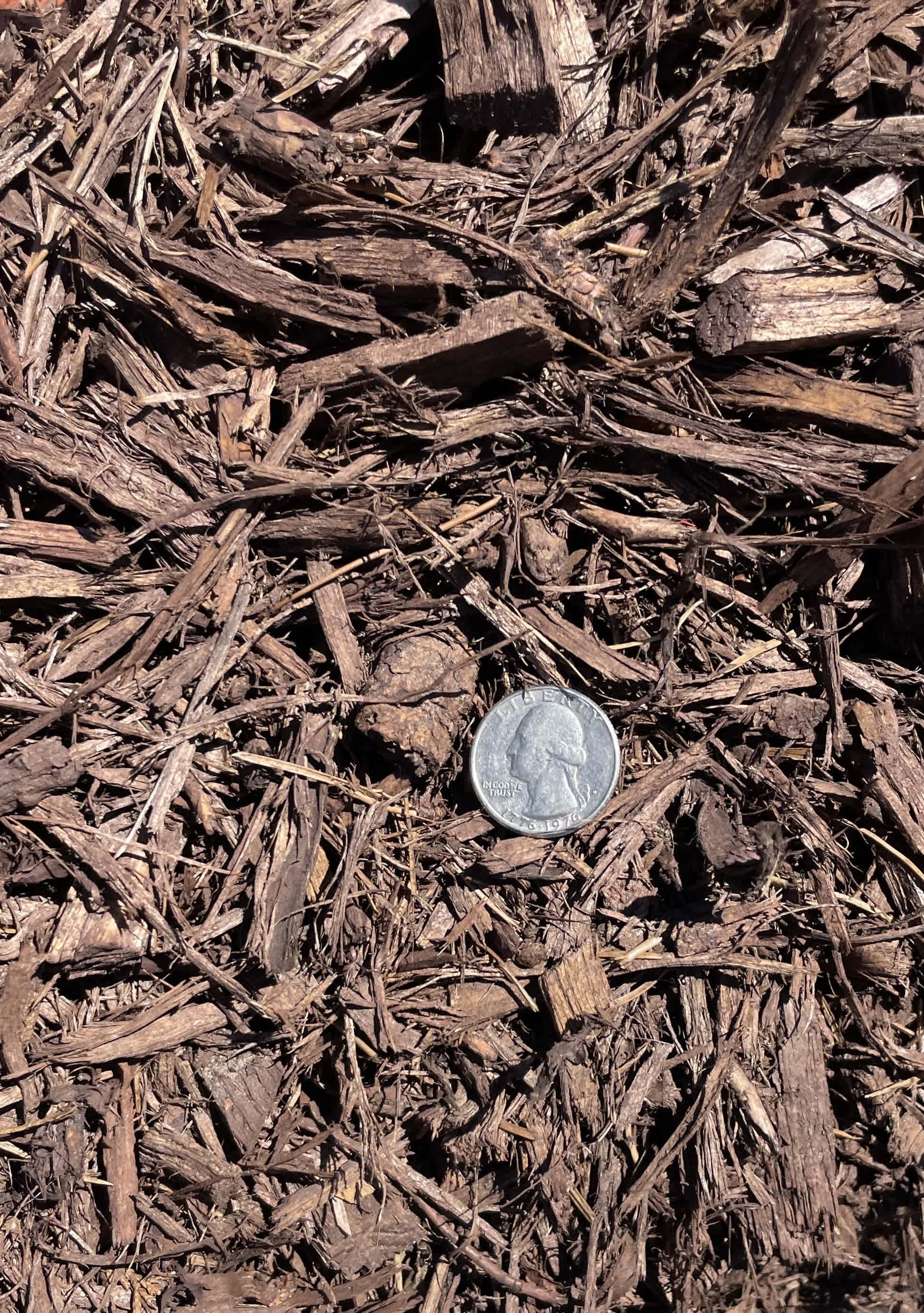 Brown Mulch Bulk | BROWNBULK