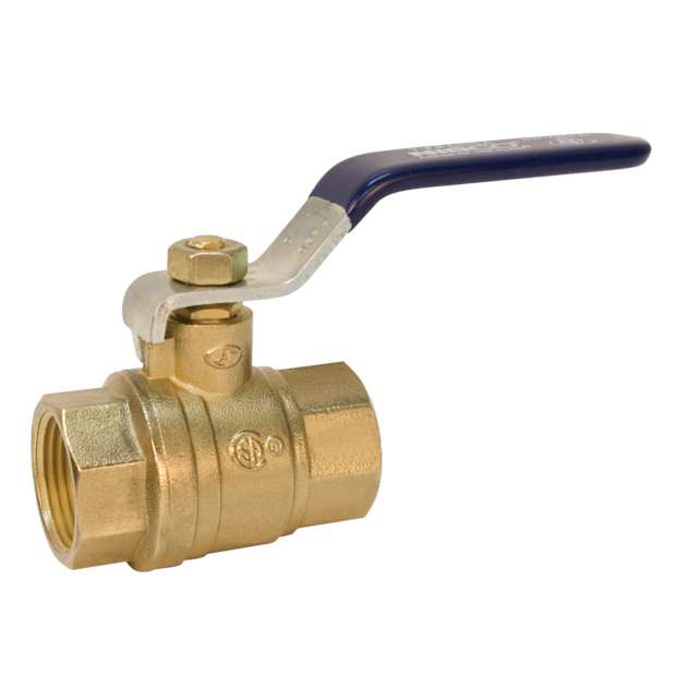 Nibco 2-Piece Ball Valve Brass 3" FNPT | NL998HF