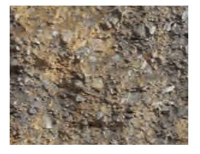 Weathered Standard Chestnut, Concrete