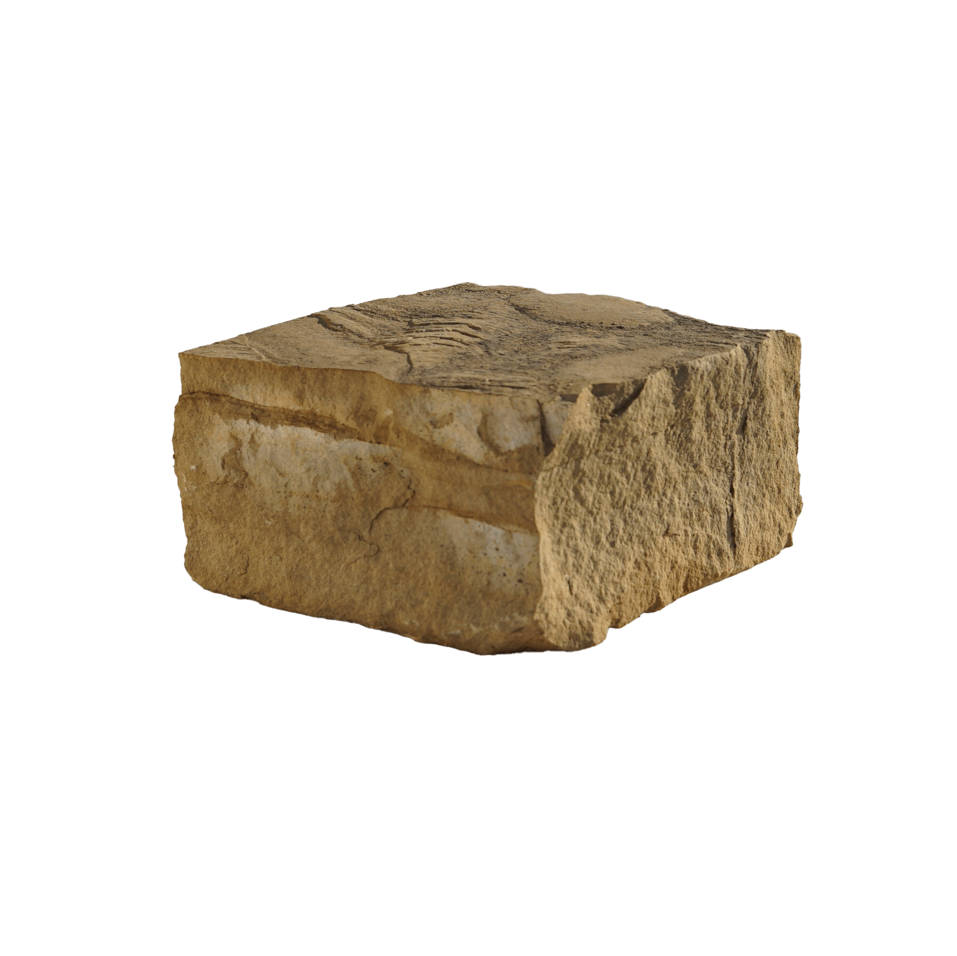 Oklahoma Natural Chopped 8" X 3" X Rl