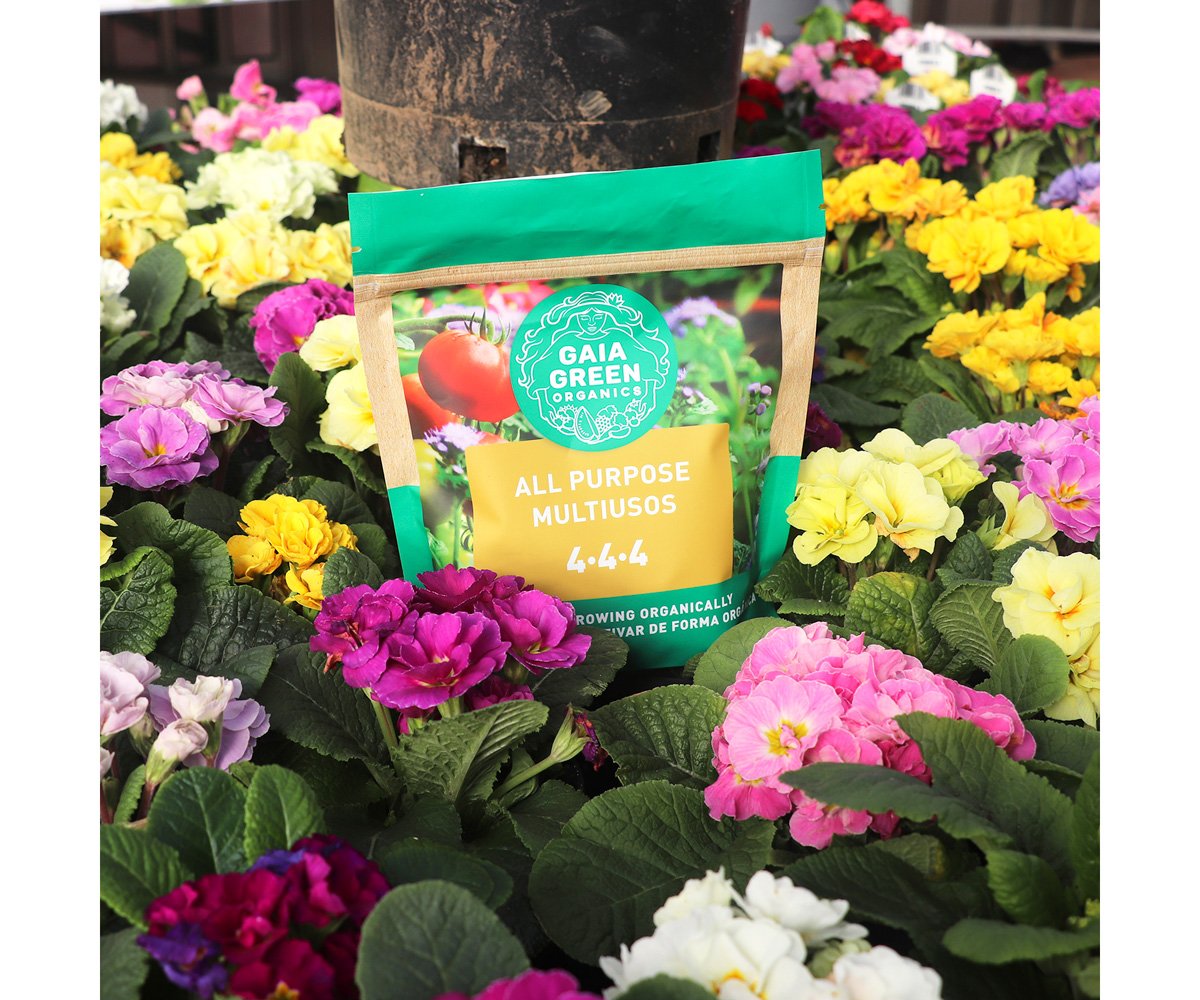 Gaia Green Organics All Purpose, 500 g Pouch