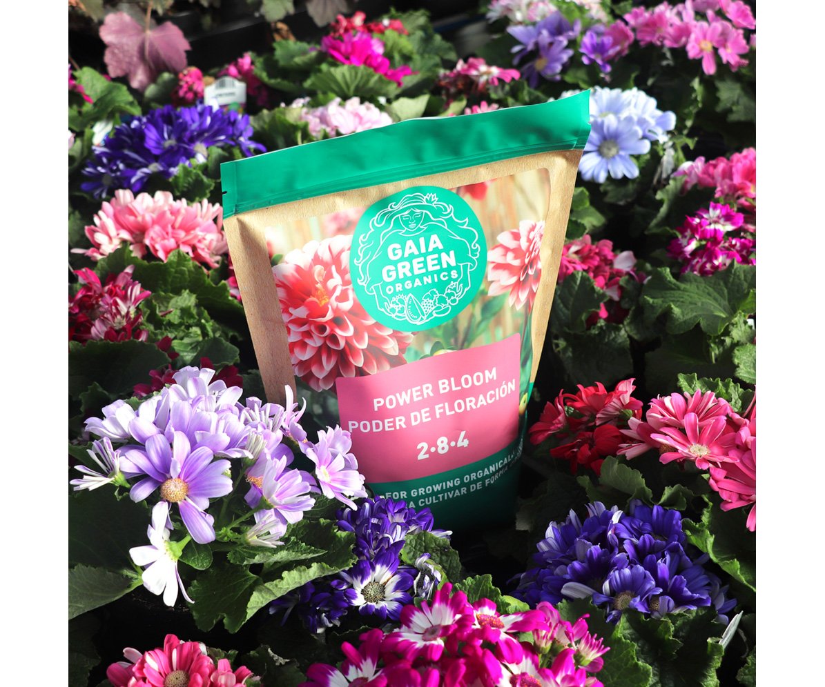 Gaia Green Organics Power Bloom, 500 g Pouch