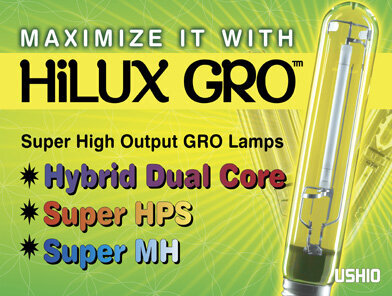 Ushio Super HPS (High Pressure Sodium) Lamp, 600W