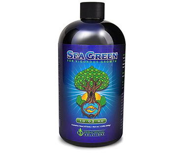 Primordial Solutions Sea Green, 16 oz