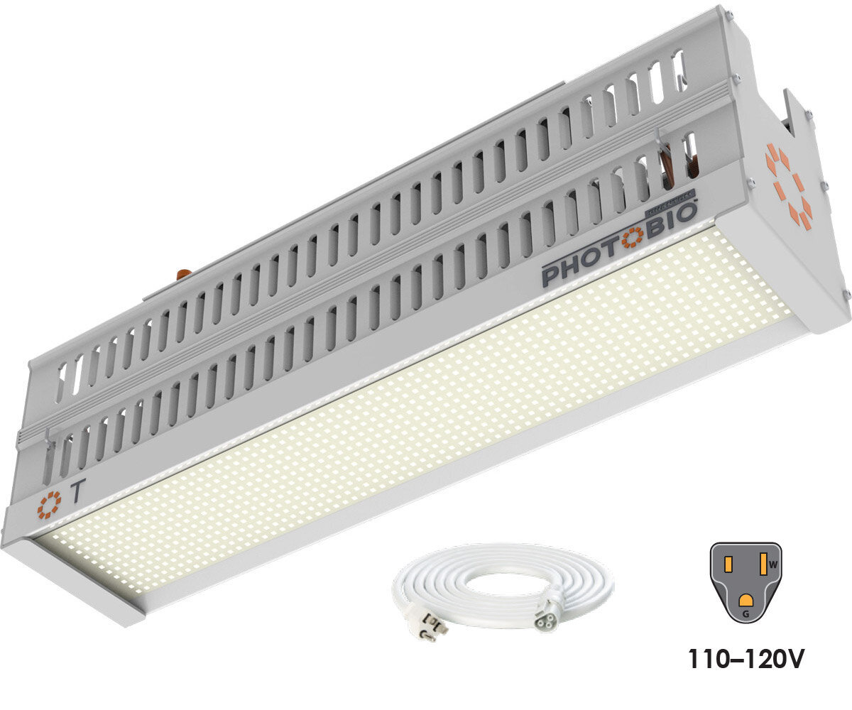 PHOTOBIO T LED, 330W, 100-277V S4, (10' 120V Cord)