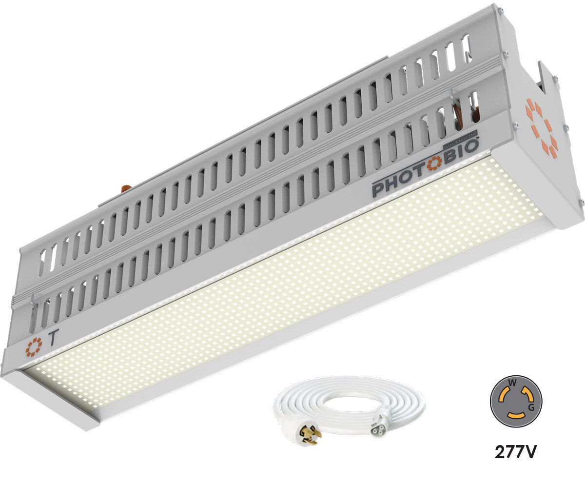 PHOTOBIO T LED, 330W, 100-277V S4, (10' 277V L7-15P Cord)