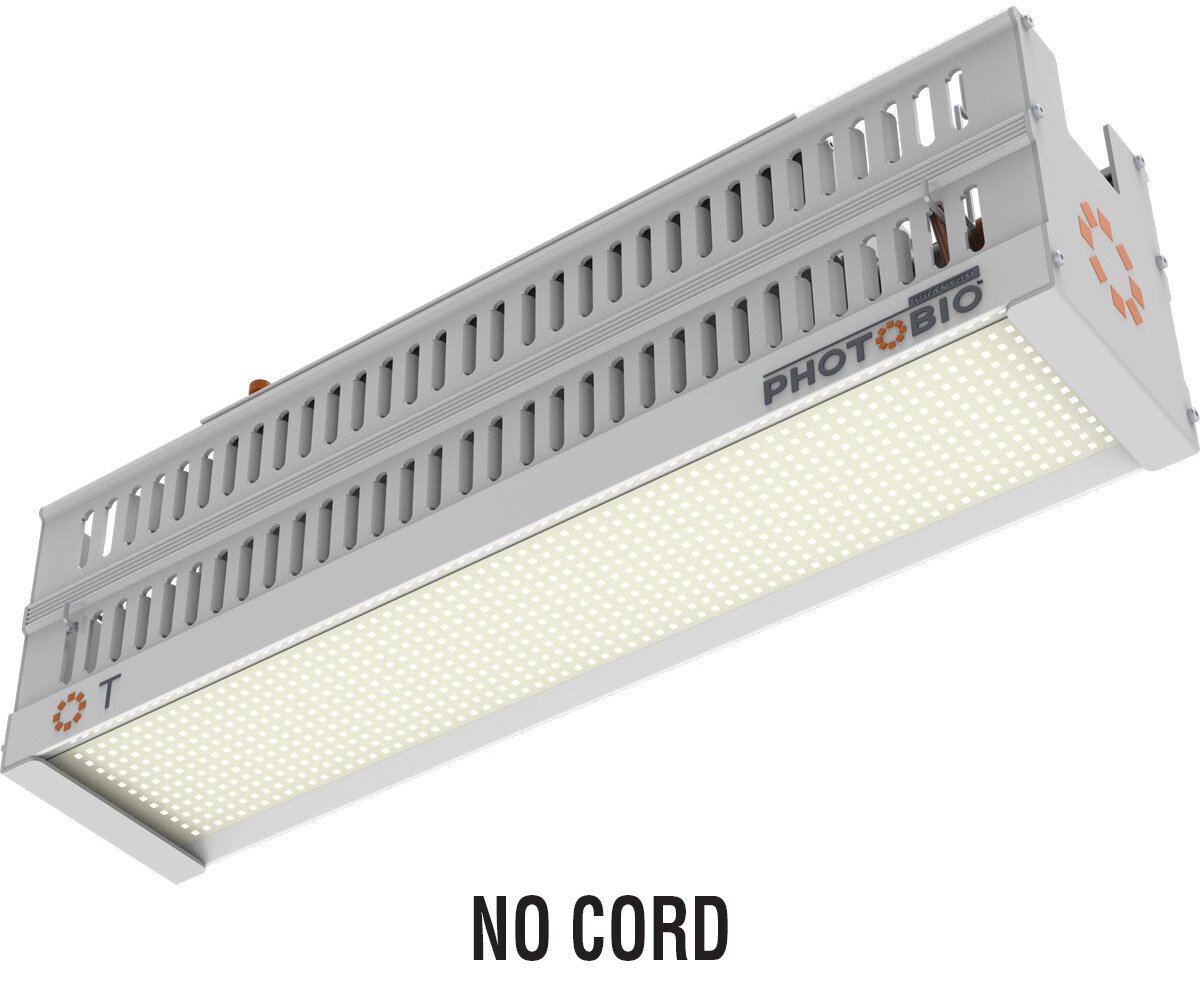 PHOTOBIO T LED, 330W, 100-277V S4 (NO CORD)