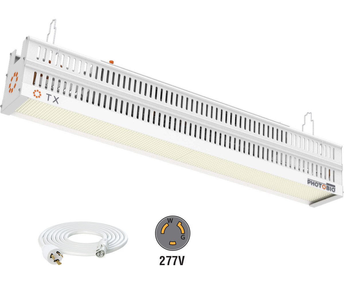 PHOTOBIO TX LED, 680W, 100-277V S4, (10' 277V L7-20P Cord)