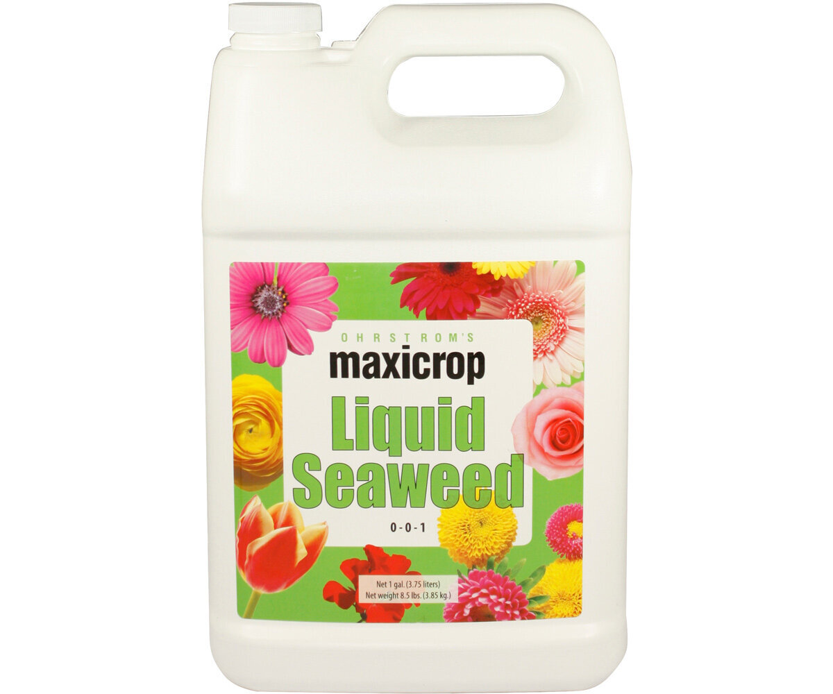 Maxicrop Liquid Seaweed, 2.5 gal