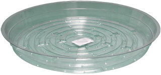 Clear Saucer, 10", pack of 25