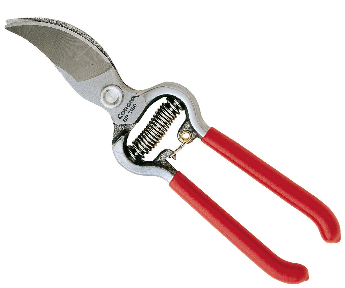 Corona Classic Cut Bypass Pruner, 3/4"