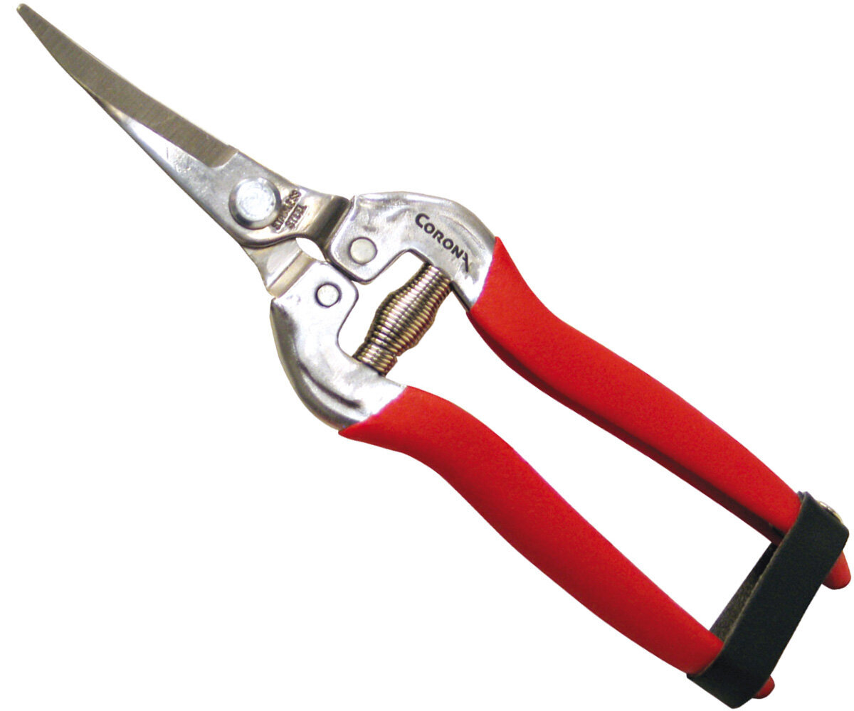 Corona Long Curved Stainless Steel Snips, 1 3/4"