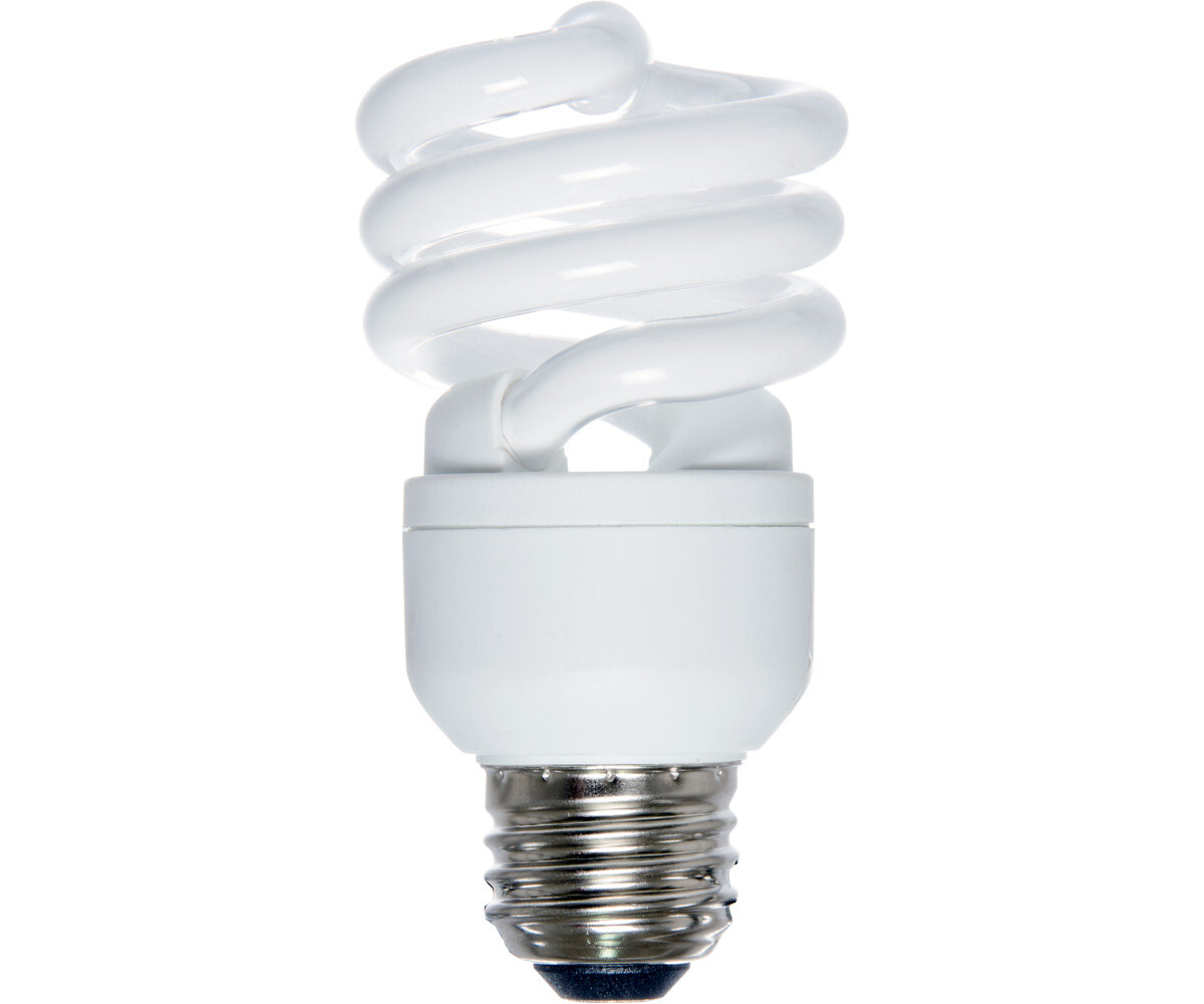 Agrobrite Compact Fluorescent Lamp, 13W (60W equivalent), 6400K