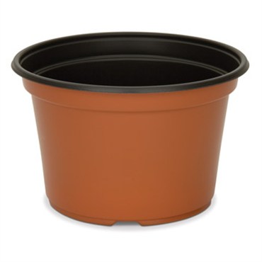 DLN 08.00X05.00 MUMPAN COEX TC/BLK 170/CS 45CS/PL