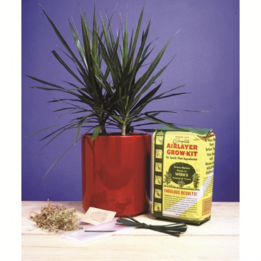 Mosser 4qt Airlayer Grow Kit