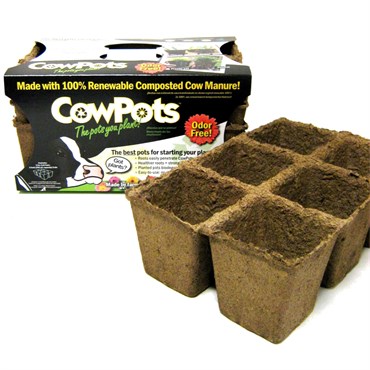 Summit Cow Pot