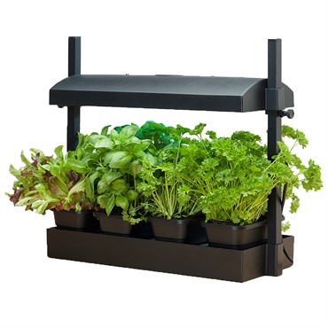 Growlight Garden Micro Black