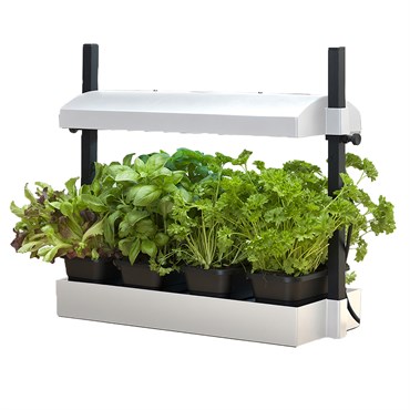 Growlight Garden Micro White