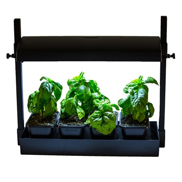 SunBlaster LED Micro Glg Black