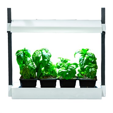 SunBlaster LED Micro Glg White