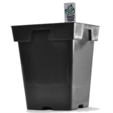 Belden Jumbo Sr Sq Pot 5.25" X 6.50" 13.33 cm Black 200/cs
