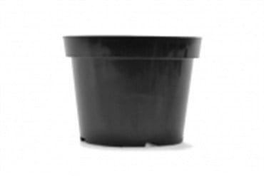 BLD 08.00 AZ TEXTURED BLK 100/CS 36CS/PL 692508