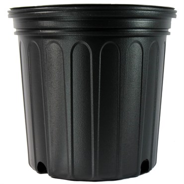 NS 600CU CUSTOM, TRADE SIZE 2 GALLON, 1.5 GALLON, BLACK 105/CS 50CS/TOWER (9"X8-1/2"), 2Gallon
