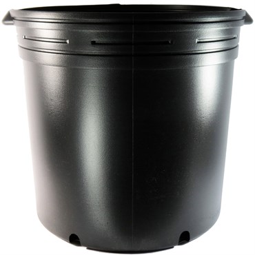 NS 4000BXL OLYMPIAN, TRADE SIZE 10 GALLON, 9.16 GALLON, BLACK 27/CS 16CS/TOWER (15-3/4"X15"), 10Gallon