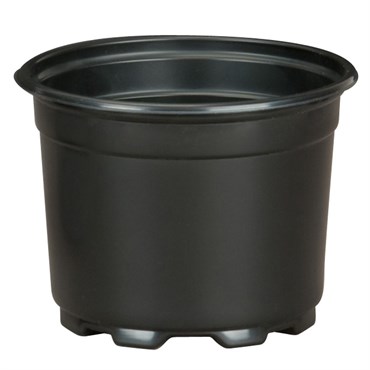DLN 05.00 AZ SHORT COEX BLK/BLK 675/CS 36CS/PL