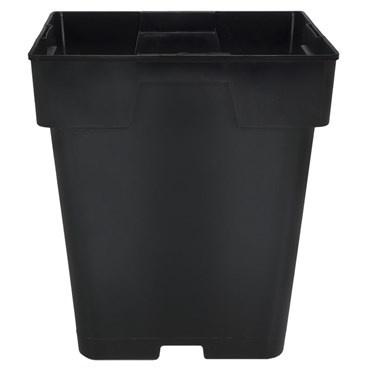 DLN 05.50 SQ JUMBO T/W TL BLK 288/CS 36CS/PL
