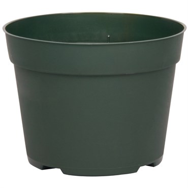 DLN 06.50 RND AZ TRAD T/W 300GN 240/CS 48CS/PL