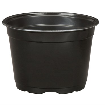 DLN 17.00 CM EURO POT COEX SHORT BLK 300/CS 32CS/P