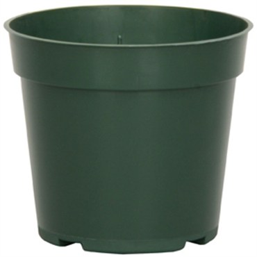 DLN 04.00 RND STD T/W 300GN 1550/CS 28CS/PL
