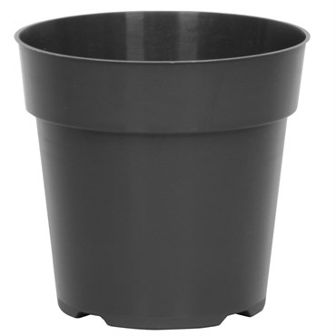 DLN 06.00 RND STD T/W 300GN 440/CS 32CS/PL