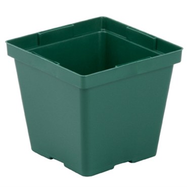 DLN 04.00 SQ T/W TL 300GN 846/CS 32CS/PL