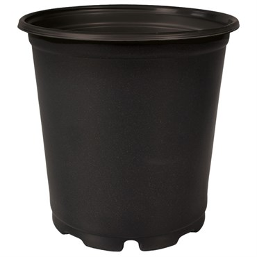 DLN TRADE 01.00GL SQUAT TL PRP COEX BLACK 140/CS 48CS/PL