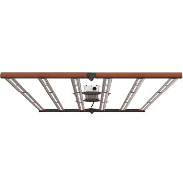 Fluence SPYDR FANG 47", PhysioSpec Broad R4, 120-277V, 6' AC Cord, NEMA 6-15P, No DC Extension, 2-Point Lance Hanger Kit, External Dimmer, Single Retail Pack