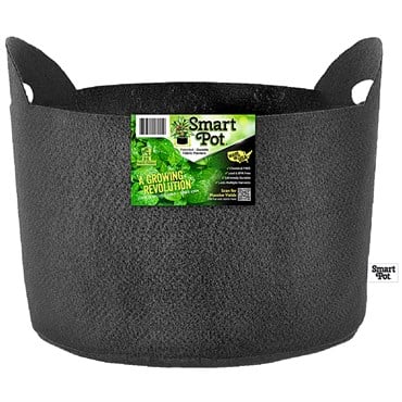 Smart Pot 10gal Black w/ Handles Bulk Box
