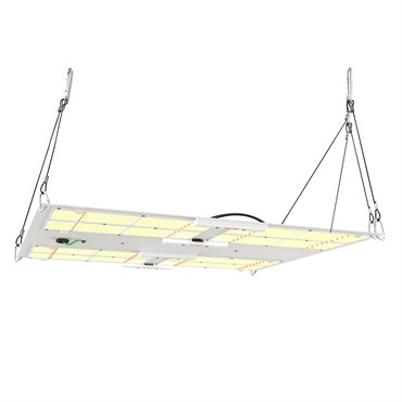 HLG 650R Commercial Hort LED Grow Light - 1 Each