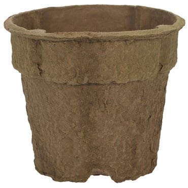ITML 04.50 GERANIUM ECOGROW ROUND POT 322/CS 20CS/PL, USE TRS10450 10CT CARRY TRAY