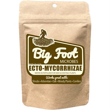 Big Foot 5