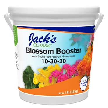 Jacks Classic 4