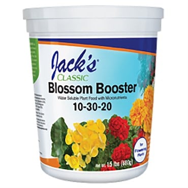 Jacks Classic 1.5
